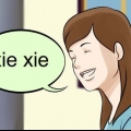 Dankie iemand in chinees