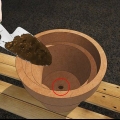 Kweek jasmyn in 'n pot