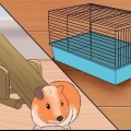 Je cavia gelukkig maak sonder 'n tweede cavia