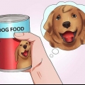 Jy hond 'n pil laat slikken