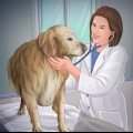 Je hond help as ze bevallen is