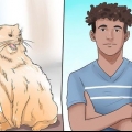 Je kat afleren te byten en te krabben