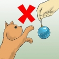 Je kerstboom teen katten beskerm