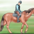 Je paard 'n handgalop leer