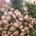 Jicama schillen