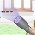 Kattenurine vind met 'n uv‐lamp