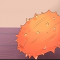 Kiwano eten