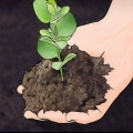 Verbetering van kleigrond