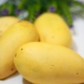 Mango's pasop