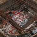 Marshmallows roosteren