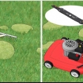 Verwyder mos van jou grasperk