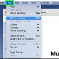 Plaas mp3's in itunes