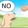 Nee sê teen jou hond
