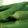 Okra ingeskryf