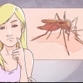 Onderskei tussen malaria, dengue en chikungunya