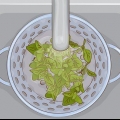 Oregano gebruik in die kombuis