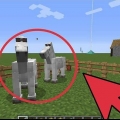 Teel perde in minecraft