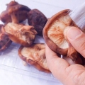 Paddenstoelen gedrogen