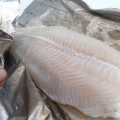 Pangasiusfilet voorberei