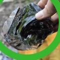 Skep pylpunte