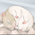 Plezier het met jou hamster