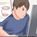 Vermy pornografie