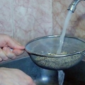 Quinoa koken in 'n rystkoker