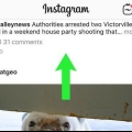 Plaas of vee opmerkings op instagram-foto's uit