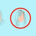 Teken realistiese hare