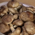 Shiitakes voorberei