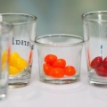 Skittles wodka maak