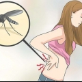 Verlig spierpyn deur chikungunya