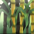 Plant suikerriet
