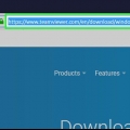 Gebruik team viewer