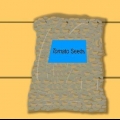 Kweek tamaties uit saad
