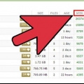 Die gebruik van torrents