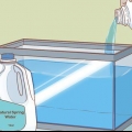 Triops versorgen