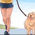Van je hond hou