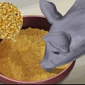 Varkens voer