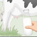 Volle melk afromen