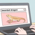 Voor 'n baardagame sorg