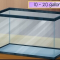 Voor 'n skink sorg