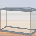 Voor guppy se sorg