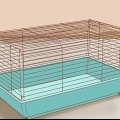Voor syrische hamsters sorg