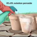 Gebruik waterstofperoksied in die tuin