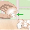 Zien of champignons bedorven zijn