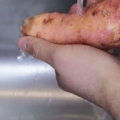 Zoete aardappel berei in die magnetron