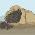 Zonnebloempitten eten