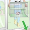 Zorgen dat cavia se warm bly