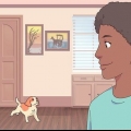 Maak seker dat 'n kat en 'n hond mekaar verdra